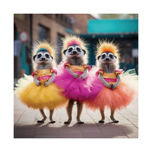 Load image into Gallery viewer, Funny Meerkat Ballet Dancers Poster