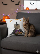 Load image into Gallery viewer, Halloween Cat Witch Pillowcase, Spooky Autumn Decor