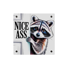 Load image into Gallery viewer, Funny Raccoon 'Nice Ass' Acrylic Art Panel
