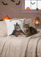 Load image into Gallery viewer, Halloween Cat Witch Pillowcase, Spooky Autumn Decor
