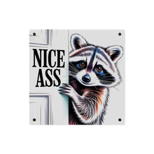 Load image into Gallery viewer, Funny Raccoon 'Nice Ass' Acrylic Art Panel
