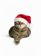 Load image into Gallery viewer, Christmas Cat Print Necktie, Pet Lover Gift
