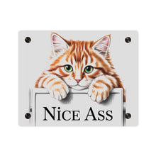 Load image into Gallery viewer, Funny Ginger Cat Acrylic Wall Art, Toilet Decor, Animal Lover Gift, Peeking Cat Decor
